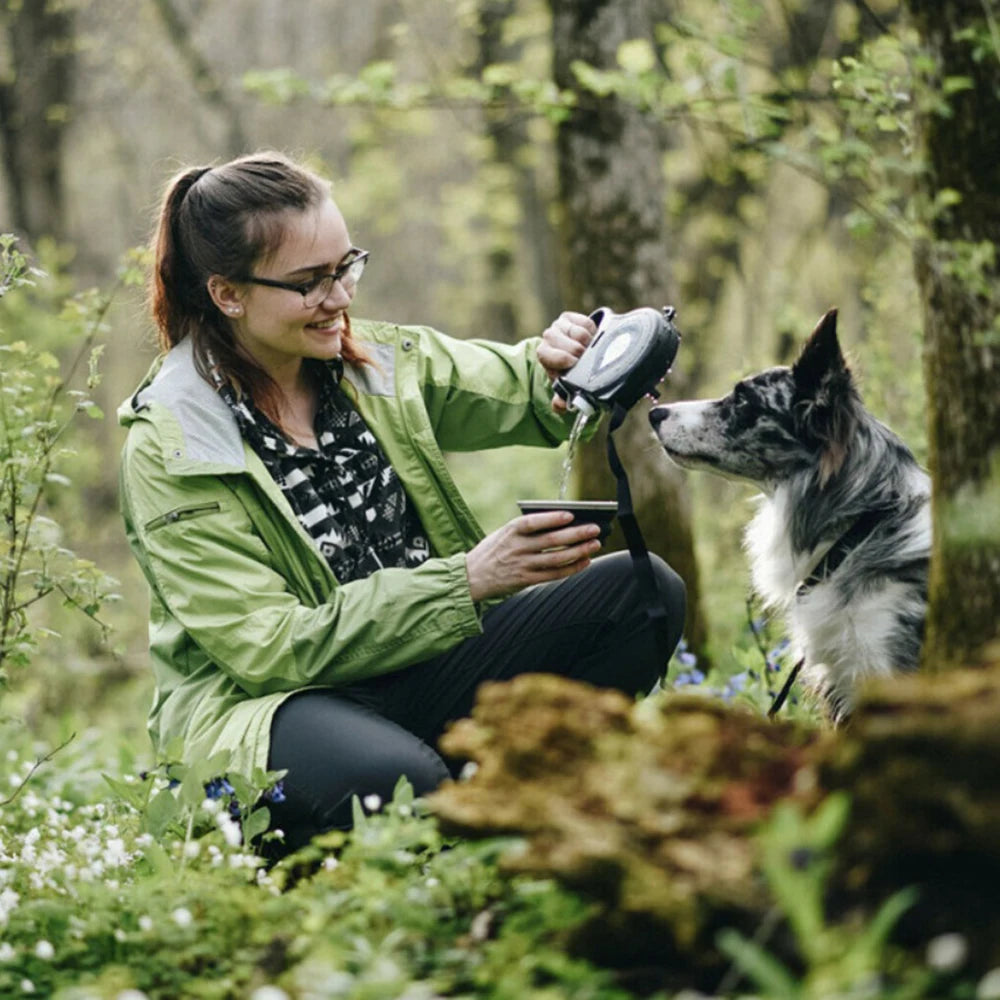 Laisse Rétractable existent 5 en 1 pour Chien et Chiot 1mt